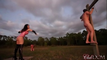 Госпожа brooklyn Chase зажала в тиски яйца раба